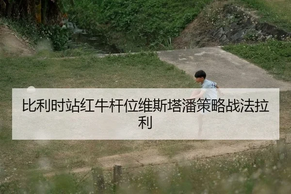 bi-li-shi-zhan-hong-niu-gan-wei-wei-si-ta-pan-ce-lve-zhan-fa-la-li-2-287.jpg
