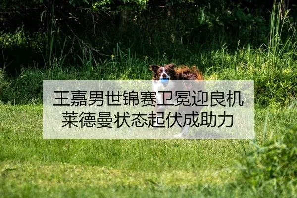 王嘉男世锦赛卫冕迎良机 莱德曼状态起伏成助力