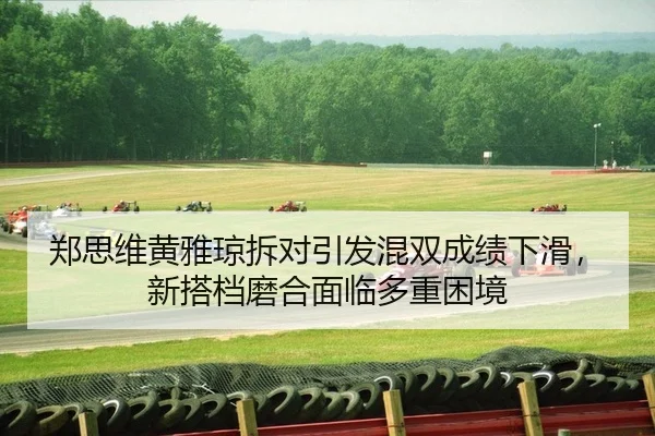 zheng-si-wei-huang-ya-qiong-chai-dui-yin-fa-hun-shuang-cheng-ji-xia-hua-xin-da-dang-mo-he-mian-lin-duo-zhong-kun-jing-1-532.jpg